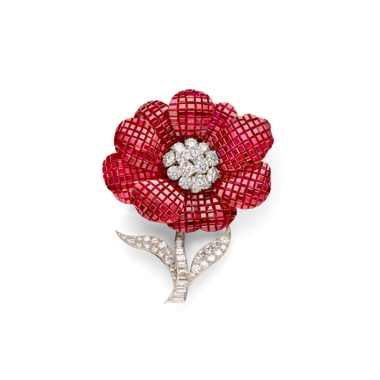 Photo of Poppy clip