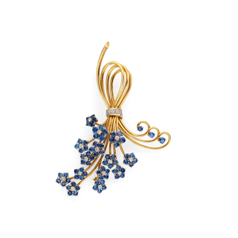 Photo of Forget-me-not clip