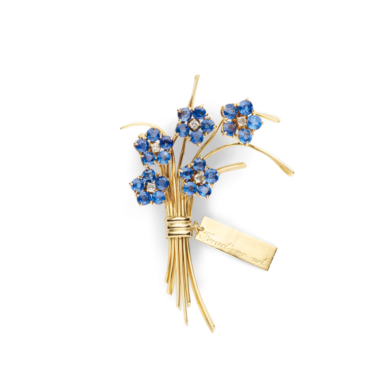 Photo of Forget-me-not clip