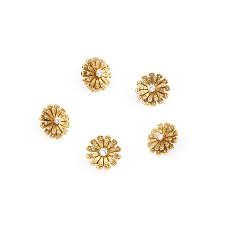 Photo of Daisy clips