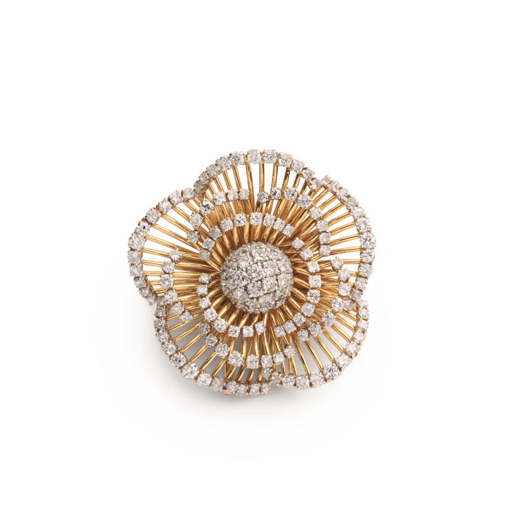 Photo of Camellia clip
