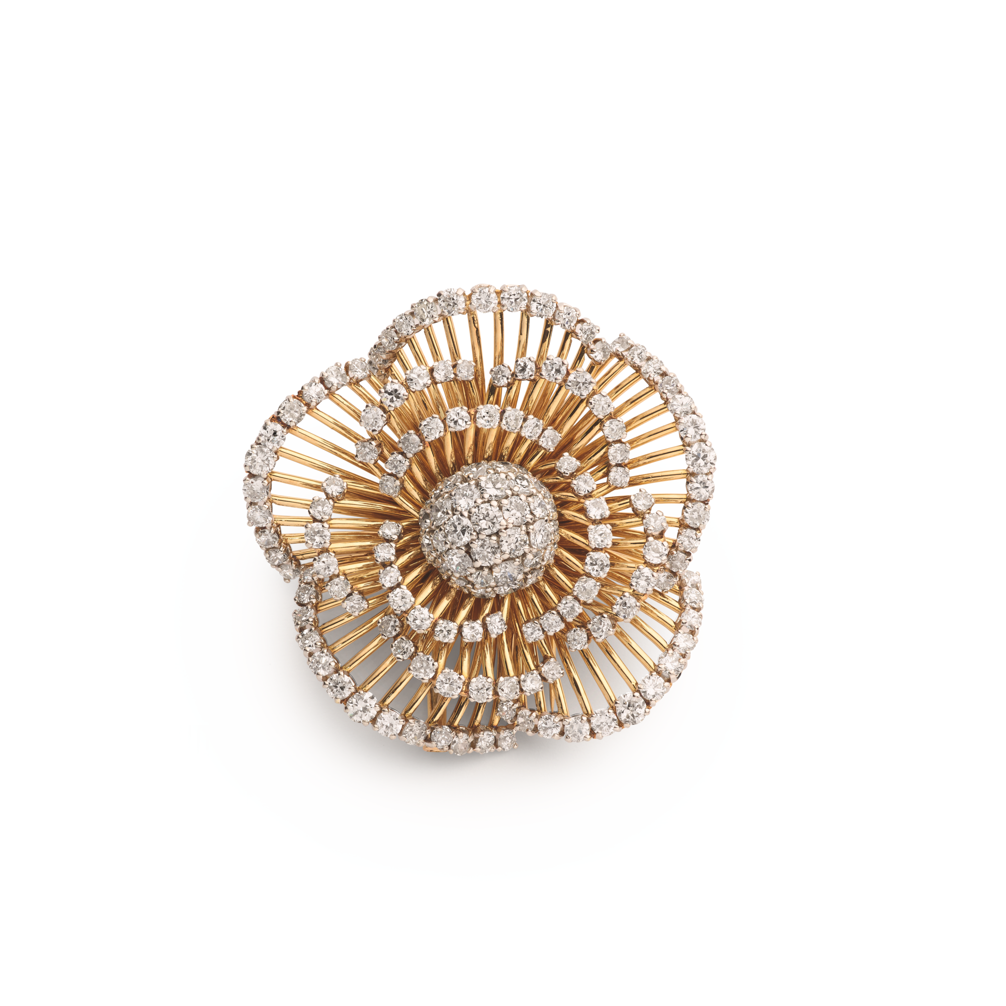Photo of Camellia clip