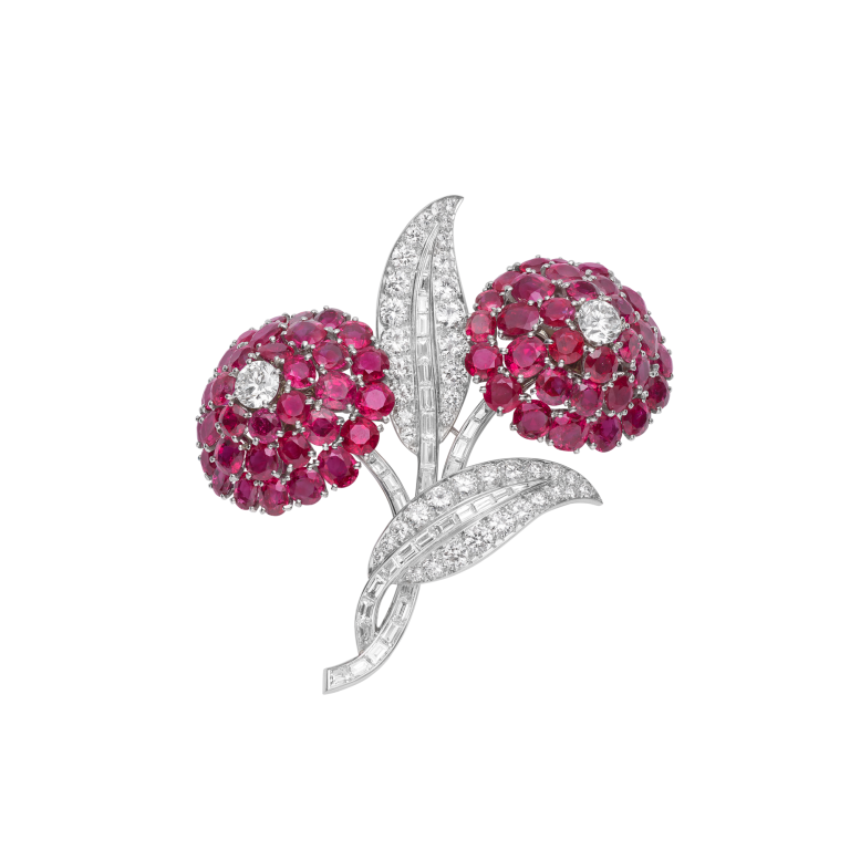 Photo of Zinnia clip