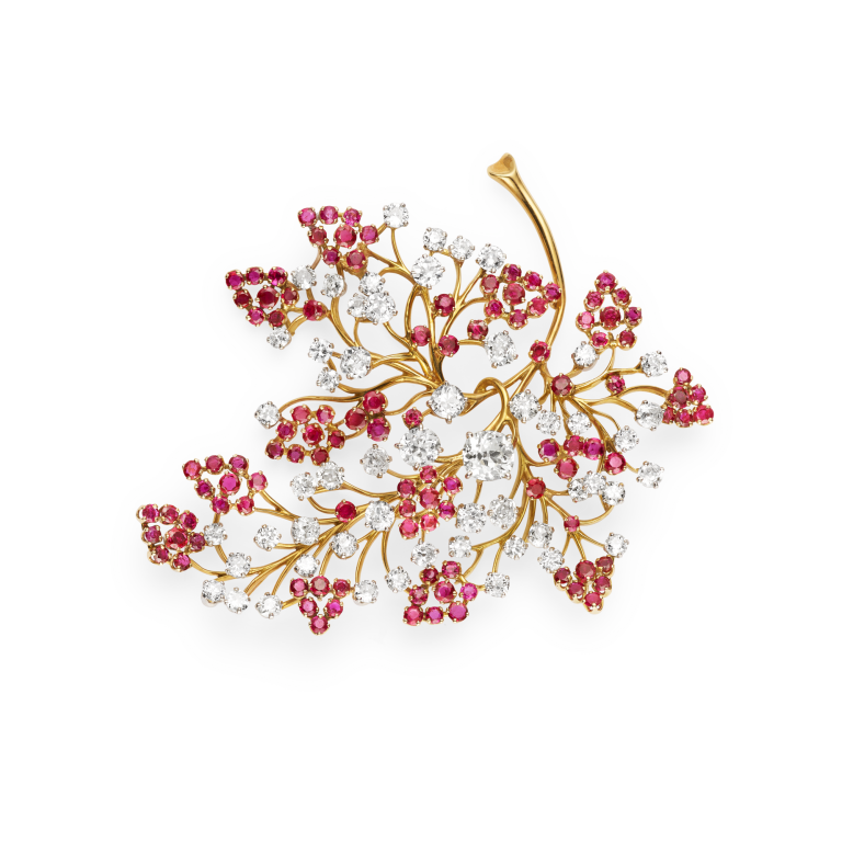 Photo of Fern clip